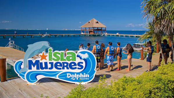 Dolphin Discovery near Zoëtry Villa Rolandi Isla Mujeres with interactive dolphin experiences and oceanfront setting